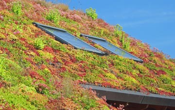 Low Torry living roof systems